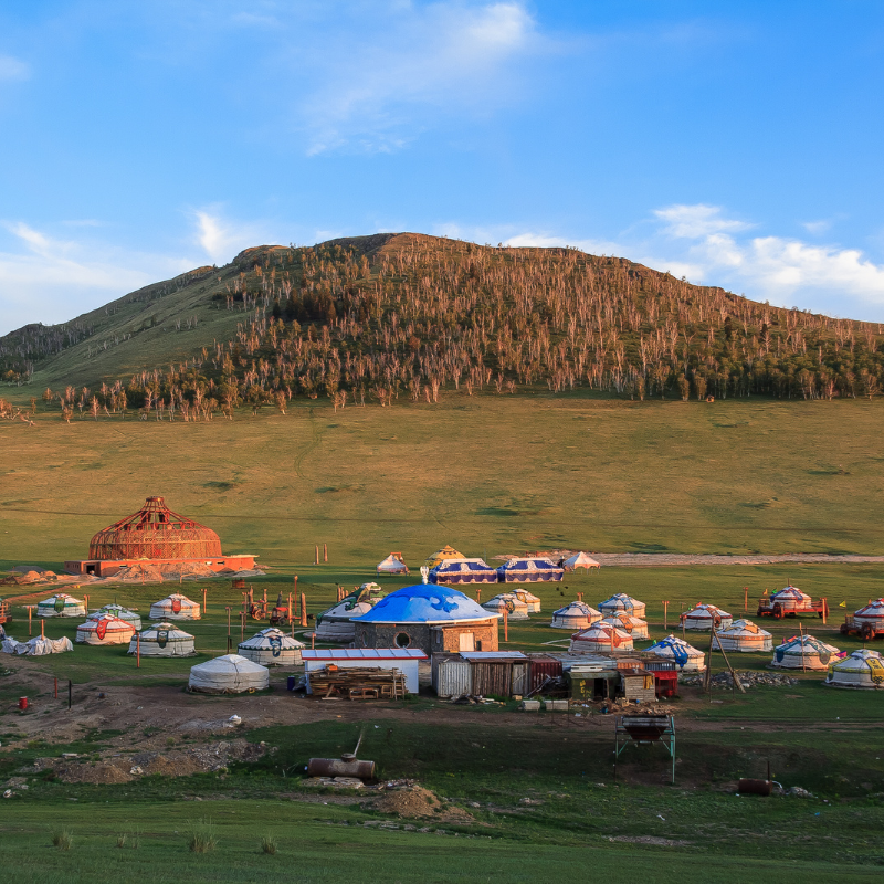 Séminaire initiatique Mongolie